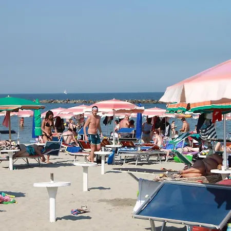 Sarzi 利多波波萨